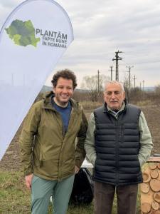 puieți plantați la Topoloveni