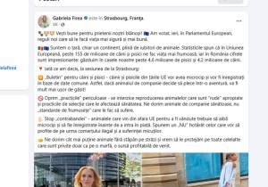 Sursă foto: FB Gabriela Firea