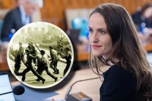 dosare desecretizate Oana Țoiu mineriada