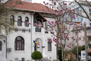 Sursăî foto: FB Primăria Municipiului Pitesti