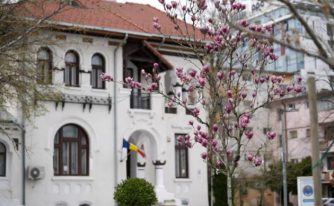 Sursăî foto: FB Primăria Municipiului Pitesti