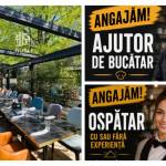 Hush Pitesti