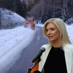 Sursă foto: Colaj Ancheta/ PNL Arges si FB ALina Gorghiu