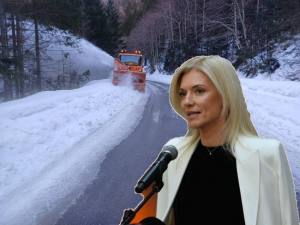 Sursă foto: Colaj Ancheta/ PNL Arges si FB ALina Gorghiu