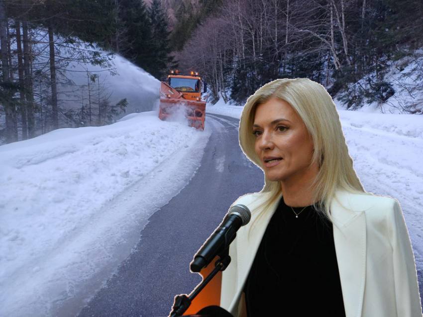 Sursă foto: Colaj Ancheta/ PNL Arges si FB ALina Gorghiu