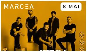 BeFunky collage 2 - Vița de Vie urcă pe scenă la Crama Marcea pentru un show aniversar