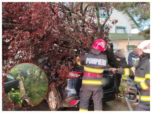 BeFunky collage 2026 05 05T201221.545 - Vremea a creat probleme în Pitești: copaci căzuți pe mașini