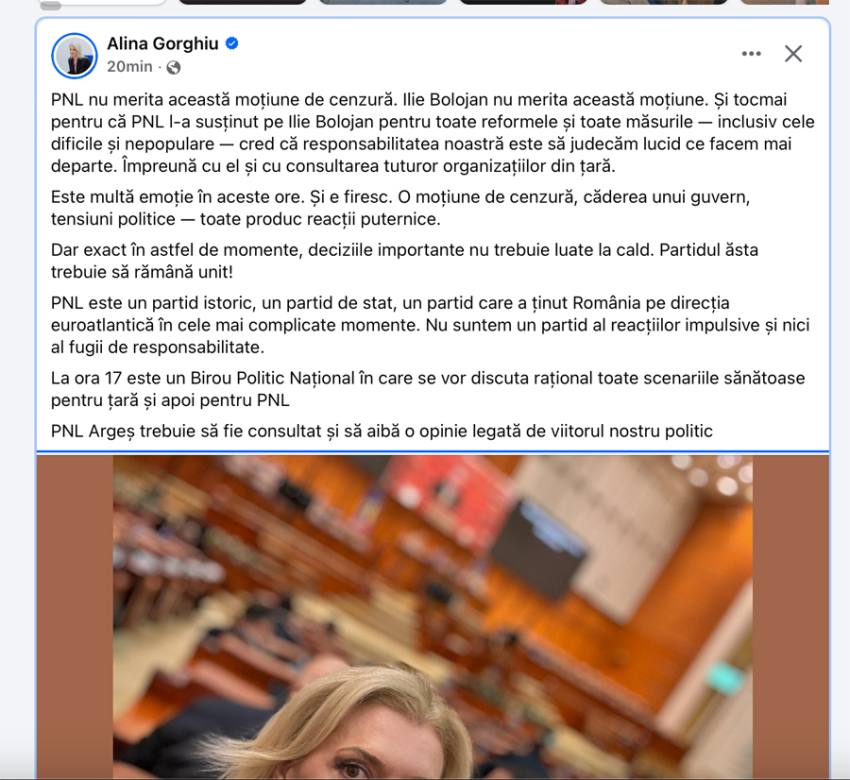 aliona gorghiu 3 - Alina Gorghiu cere decizii „lucide” în PNL după moțiunea de cenzură și susține consultarea organizațiilor din țară: „PNL nu merita această moțiune”