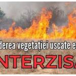 BeFunky collage 8 - Arderea vegetației uscate - interzisă prin lege! Se sancționează cu amenzi mari!