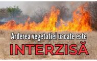 ardere vegetatie uscata