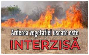 BeFunky collage 8 - Arderea vegetației uscate - interzisă prin lege! Se sancționează cu amenzi mari!