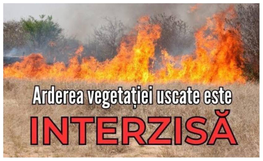 ardere vegetatie uscata