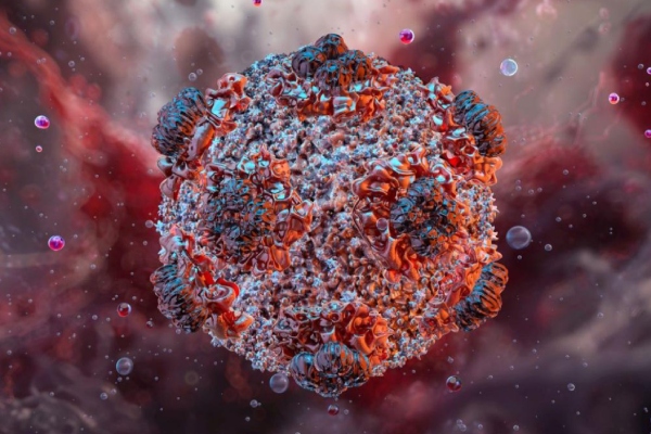 hantavirus