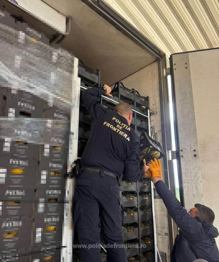 1778220282184 42823 S4 - Captură de peste 2 milioane de euro. Țigări de contrabandă ascunse printre portocale
