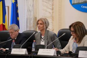 Sursă foto: FB ALina Gorghiu