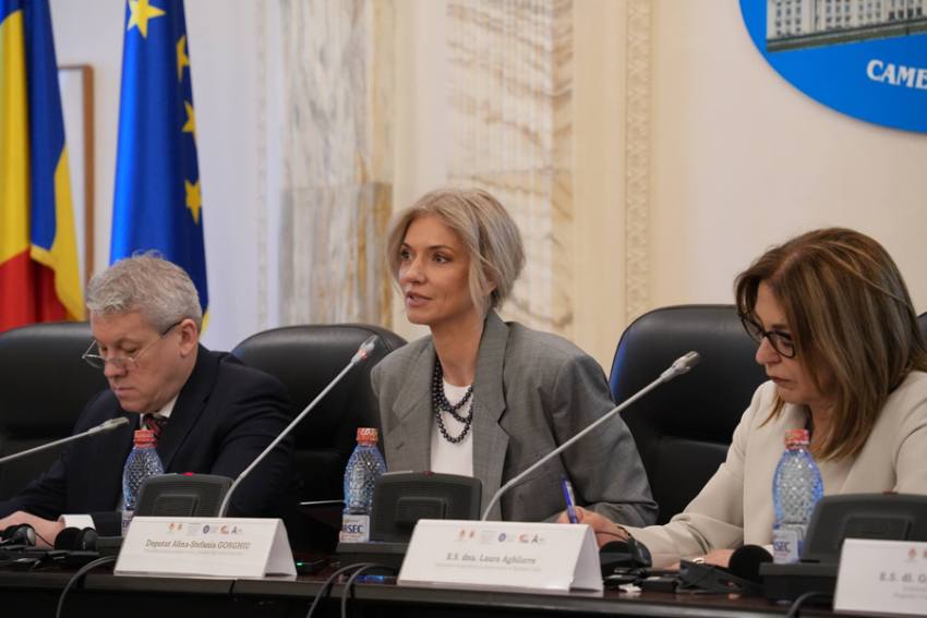 Sursă foto: FB ALina Gorghiu