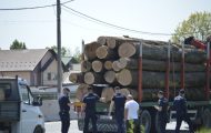 lemne jandarmi poliție