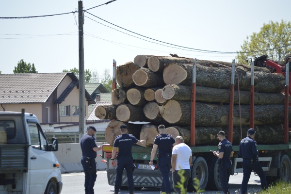 lemne jandarmi poliție