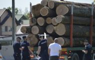 lemne jandarmi poliție