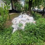 525e7ba7 8d64 43df 9c7e 803d3099961f - Piteștean amendat pentru depozitarea ilegală de moloz! A lăsat sacii pe spațiul verde de lângă bloc
