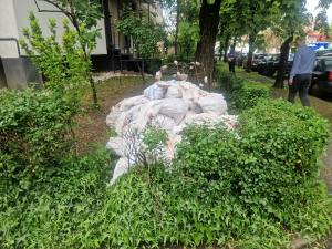 525e7ba7 8d64 43df 9c7e 803d3099961f - Piteștean amendat pentru depozitarea ilegală de moloz! A lăsat sacii pe spațiul verde de lângă bloc