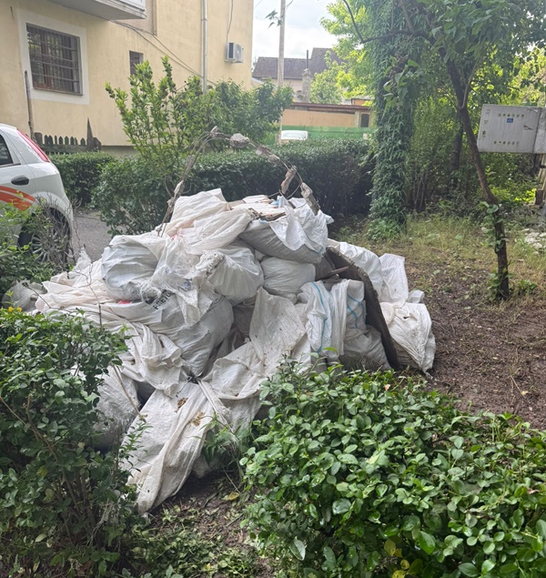 8a598585 853f 4639 b86e 19e2b4b0a28d - Piteștean amendat pentru depozitarea ilegală de moloz! A lăsat sacii pe spațiul verde de lângă bloc