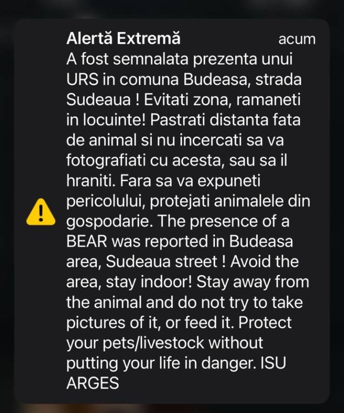 5c88fe97 bc87 41e5 9b72 ed714924d716 - Alertă în Budeasa! A fost semnalată prezența unui urs