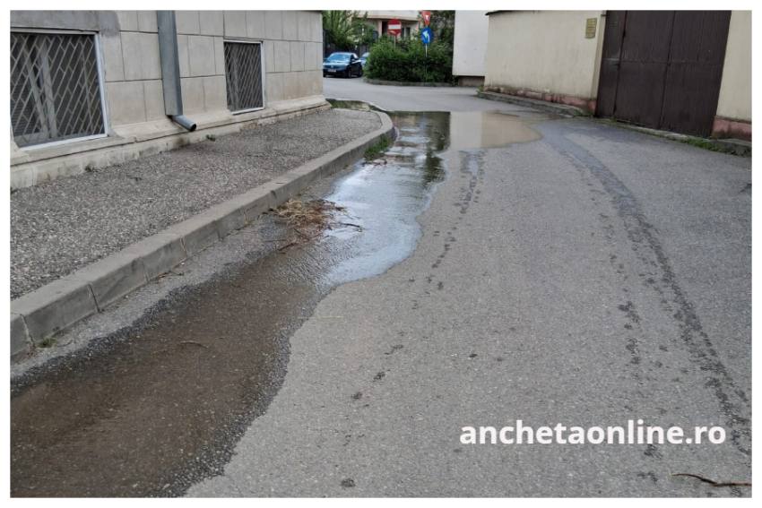 conducta sparta Pitesti