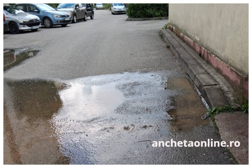 conducta sparta Pitesti