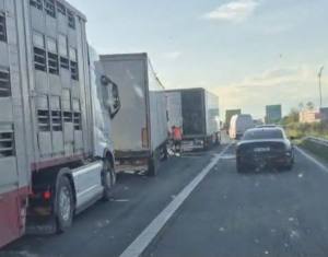 1f504f77 0af9 407a 8cc8 5b0f451df824 - Accident pe Autostrada A1 București-Pitești. 3 TIR-uri implicate