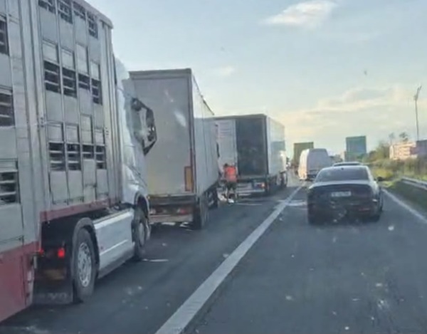 1f504f77 0af9 407a 8cc8 5b0f451df824 - Accident pe Autostrada A1 București-Pitești. 3 TIR-uri implicate