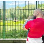 BeFunky collage 1 1 - Vizită la zoo cu familia, pentru deținuții Penitenciarului Mioveni