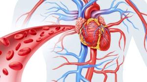 chirurgie cardiovasculara - Consultații în PATOLOGIA VASCULARĂ disponibile în Ambulatoriul Spitalului Orășenesc Mioveni