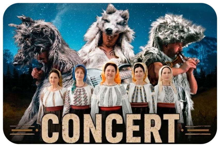 concert Pitesti Fest