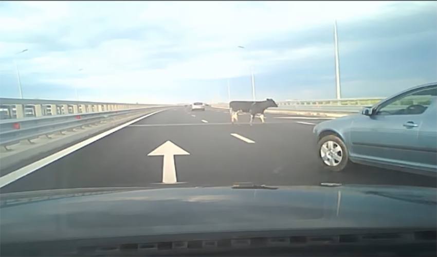 Sursă foto: screenshot video știrea orei.