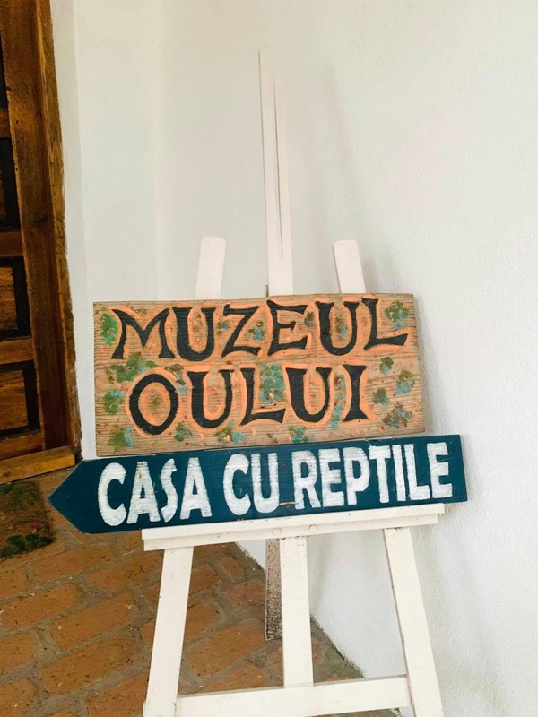 1651ca8b 7e9b 4bfd b638 1511c53679ad - Petrece 1 Iunie și minivacanța de Rusalii la Arca lui Noe – copiii merită cele mai frumoase amintiri!