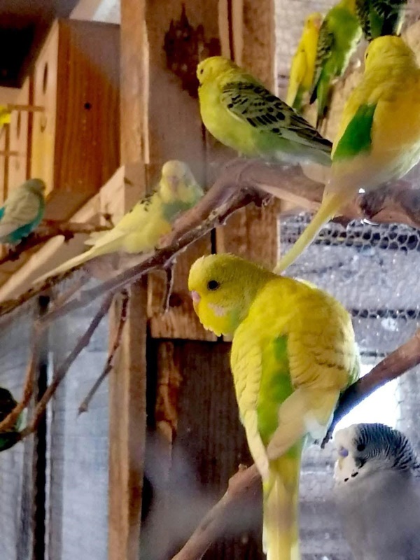 58163a2e ac01 4528 a912 e92c6c96c5ef - Petrece 1 Iunie și minivacanța de Rusalii la Arca lui Noe – copiii merită cele mai frumoase amintiri!