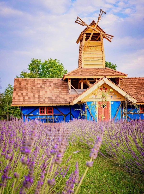 a41a5e1a dfa6 4805 9a8b 630091170006 - Petrece 1 Iunie și minivacanța de Rusalii la Arca lui Noe – copiii merită cele mai frumoase amintiri!