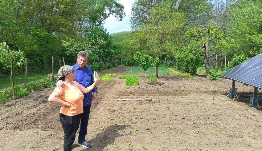 Ion Gîrleanu Bogați