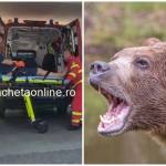 710118695 1593174482811987 8385987670773157695 n - Incident grav în zona Barajului Vidraru! Cetățean străin mușcat de urs