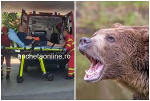 710118695 1593174482811987 8385987670773157695 n - Incident grav în zona Barajului Vidraru! Cetățean străin mușcat de urs