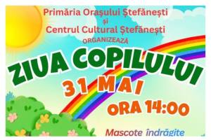 Ziua Copilului Stefanesti