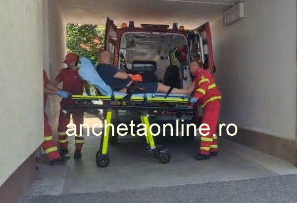 c7633f4e 3566 4117 b759 7d993abd7d9a - Incident grav în zona Barajului Vidraru! Cetățean străin mușcat de urs