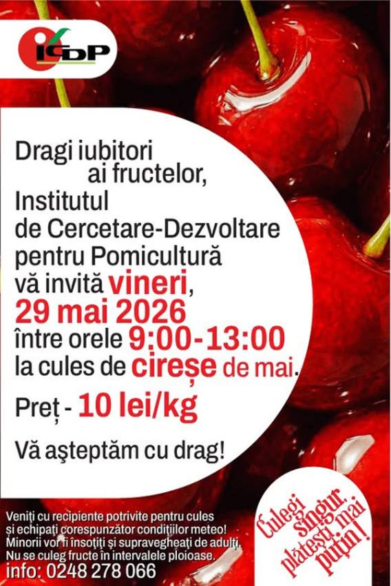 Sursa foto: FB Institutul de Cercetare – Dezvoltare pentru Pomicultură