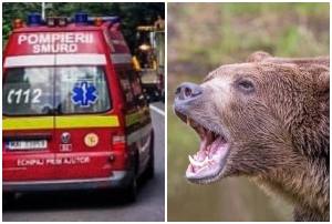 page 2 - Incident grav în zona Barajului Vidraru! Cetățean străin mușcat de urs