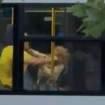 cats - UPDATE! Atacatoarea din autobuz a fost reținută!