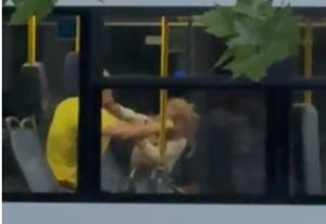 cats - UPDATE! Atacatoarea din autobuz a fost reținută!