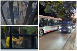 page 2 - Publitrans, reacție oficială după incidentul din autobuz