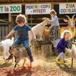 zoo pitești 1 iunie