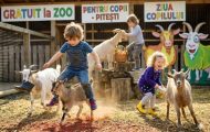 zoo pitești 1 iunie